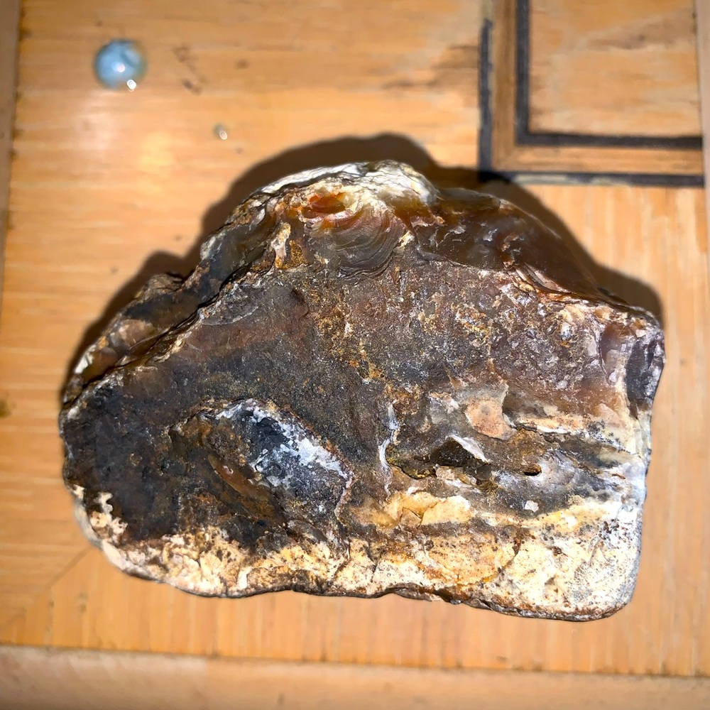 Agate petrified wood 300+ grams